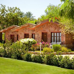 Bungalow Sea View
